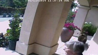 Медведь мастерски замаскировался - смотреть видео (0:27)