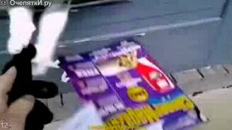 Почтальон против сторожевого кота - смотреть видео (1:16)