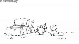 Сражённый любовью кот Саймона - смотреть видео (1:35)