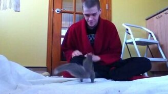 Парень играет со своей резвой белочкой - смотреть видео (5:05)