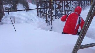 Откопали из-под снега брошенную собаку - смотреть видео (1:56)