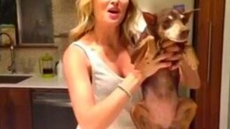 Топ-100 коротких приколов с животными - смотреть видео (9:32)