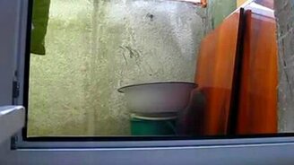 Кот-призрак - смотреть видео (0:48)