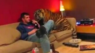 Опасный, однако, питомец - смотреть видео (0:53)