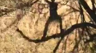 Несостоявшийся Тарзан - смотреть видео (0:05)