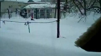 Кот преодолевает сугробы - смотреть видео (1:08)