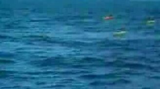 Прыжок касатки возле каяка - смотреть видео (0:23)