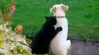 Дай-ка сделаю тебе массаж! - смотреть видео (0:50)