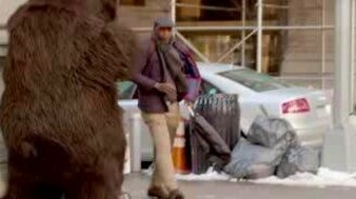 Медведь в городе! - смотреть видео (1:26)