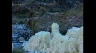 Пенные столбы на реке - смотреть видео (1:11)