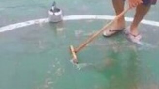 Любительский кёрлинг - смотреть видео (0:19)