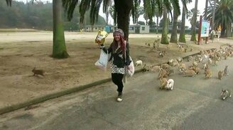 Повелительница кроликов - смотреть видео (0:36)