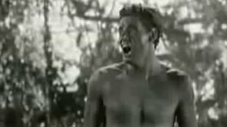 Странный крик Тарзана - смотреть видео (0:11)