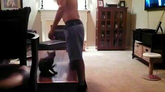 Отправил котёнка-подростка в полёт - смотреть видео (0:19)