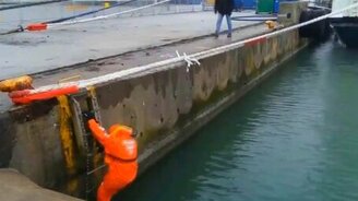 Спасли котика - смотреть видео (2:29)