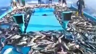 Чудо-рыбалка - смотреть видео (1:08)