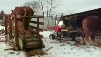 Лесопилка на лошадином приводе - смотреть видео (1:36)