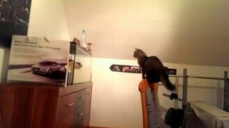 Фиаско охотника за рыбками - смотреть видео (0:16)