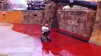 Разбудили мальчугана в коляске - смотреть видео (0:17)