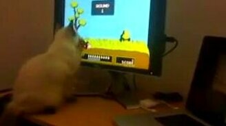 Котёнок-геймер - смотреть видео (0:49)