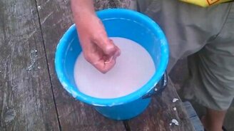 Чудо-жидкость - смотреть видео (2:09)