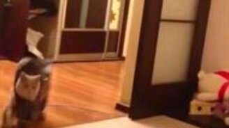 Наш местный Чёрный плащ - смотреть видео (0:10)