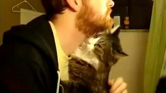 Любвеобильные кошки - смотреть видео (0:40)