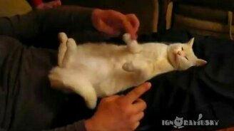 Делай со мной, что хошь! - смотреть видео (0:33)