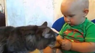 Кусочек тебе, кусочек мне! - смотреть видео (0:42)