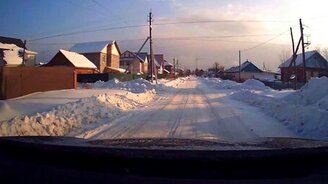 Собака регулировщик - смотреть видео (0:20)