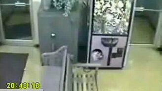 Добыл игрушку из автомата - смотреть видео (2:22)