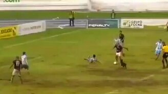 Пёс мешает играть в футбол - смотреть видео (0:34)