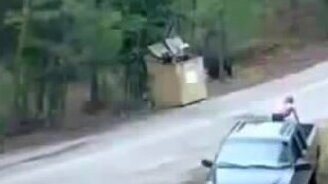 Помогли медвежатам - смотреть видео (1:10)