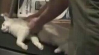 Самый ленивый спортсмен - смотреть видео (1:03)