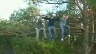 Спилил сук, на котором сидел - смотреть видео (0:42)