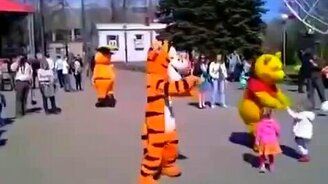 Позитивный Тигра в парке - смотреть видео (0:48)