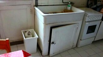 Кот в муках выбора - смотреть видео (0:23)