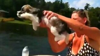 Почти 30 минут животного позитива - смотреть видео (27:12)