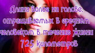 Интересное о нас с вами - смотреть видео (1:24)