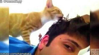 Усатые будильники - смотреть видео (1:20)