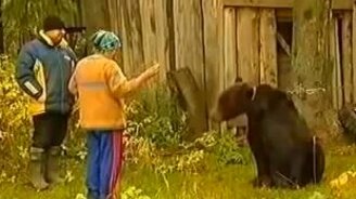 Глупая женская затея с медведем - смотреть видео (0:59)