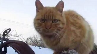 Игорь Растеряев - Весна - смотреть видео (2:23)