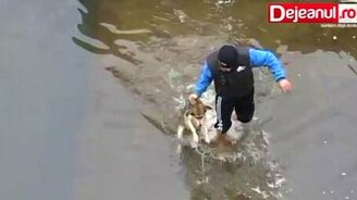 Спас собаку из ледяного плена - смотреть видео (2:01)