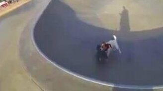 Собака-трюкачка на скейте - смотреть видео (0:39)