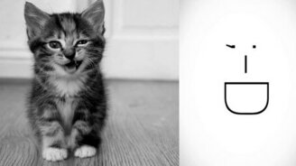 Котосмайлики - смотреть видео (2:39)