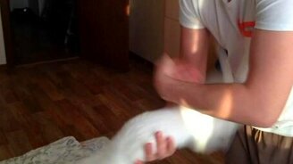 Котовертушка - смотреть видео (0:06)