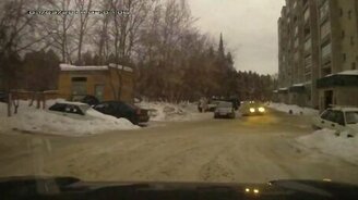 Лиса забрела к людям - смотреть видео (0:59)