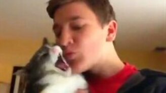 Первый поцелуй с кошкой - смотреть видео (0:43)