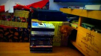 Трудный кошачий выход через окно - смотреть видео (0:31)