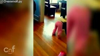 Котёнок атакует малышку - смотреть видео (0:21)